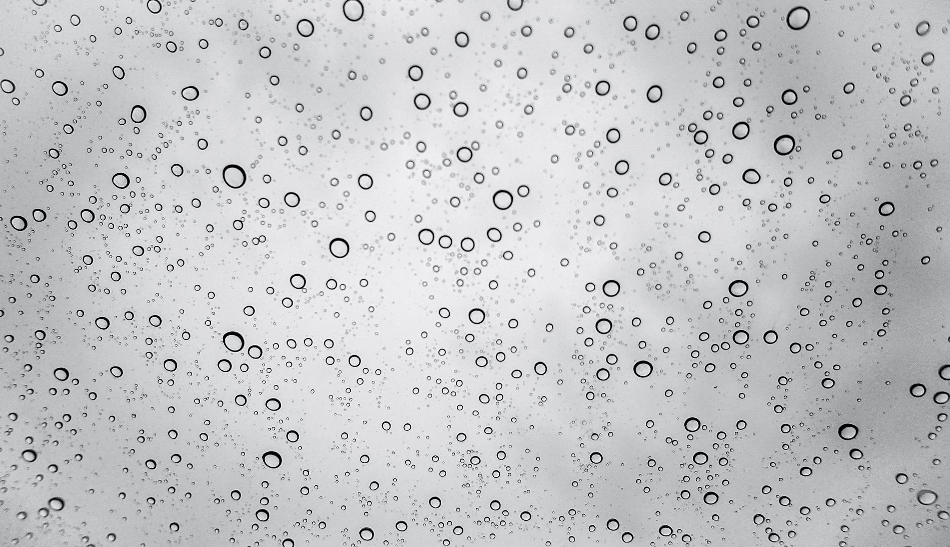 A cold water shower head with droplets, representing a brief cold finish to a morning shower